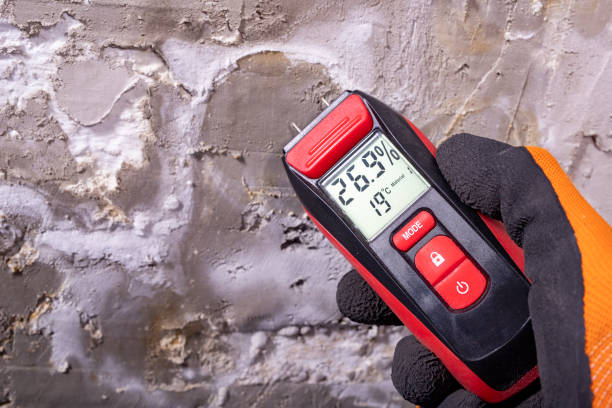 Best Mold Remediation  in Lecanto, FL